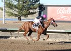 Runnin On Promises wins the 2024 Gold Rush Futurity