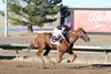 Runnin On Promises wins the 2024 Gold Rush Futurity