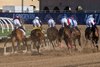 Immersive with Manuel Franco wins the Juvenile Fillies (G1) at Del Mar Racetrack in Del Mar, CA on November 1, 2024.