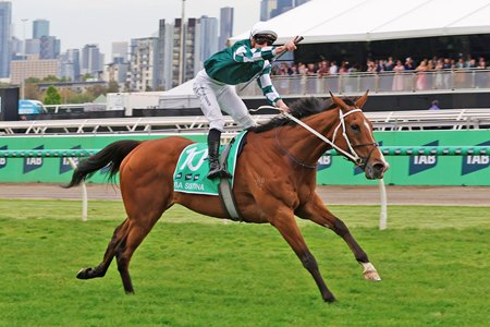 Via Sistina wins the Champions Stakes at Flemington Racecourse