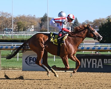 Index Fund - Horse Profile - BloodHorse