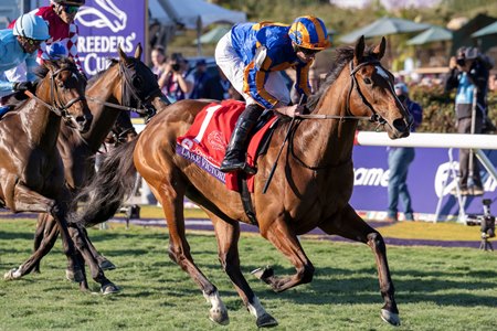 Lake Victoria wins the Breeders' Cup Juvenile Fillies Turf at Del Mar