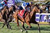 Lake Victoria with Ryan Moore wins the Juvenile Fillies Turf (G1T) at Del Mar Racetrack in Del Mar, CA on November 1, 2024.