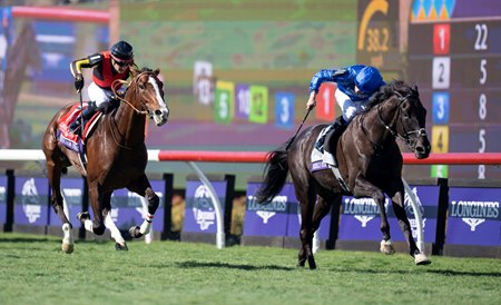 Rebel's Romance wins the Breeders' Cup Turf at Del Mar