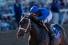 Immersive and Manny Franco Win  the Juvenile Fillies (G1) at Del Mar Racetrack in Del Mar, CA on November 1, 2024.
