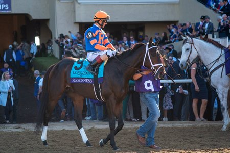 Fierceness at Santa Anita Park