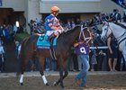 Fierceness in the Post Parade before finishing second in the Breeders&#39; Cup Classic won by  Sierra Leone at Del Mar Racetrack in Del Mar, CA on November 2, 2024.