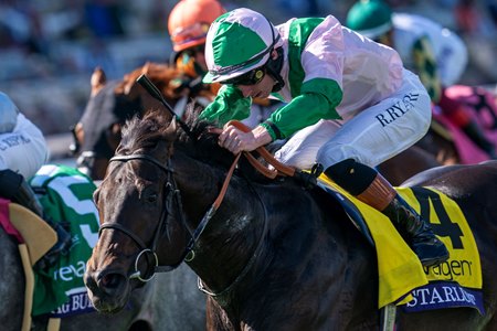 Starlust wins the 2024 Breeders' Cup Turf Sprint at Del Mar