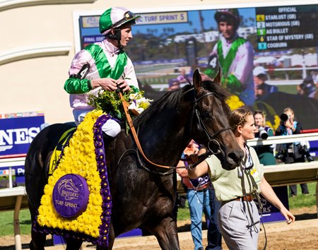 Starlust after his victory in the 2024 Breeders' Cup Turf Sprint at Del Mar