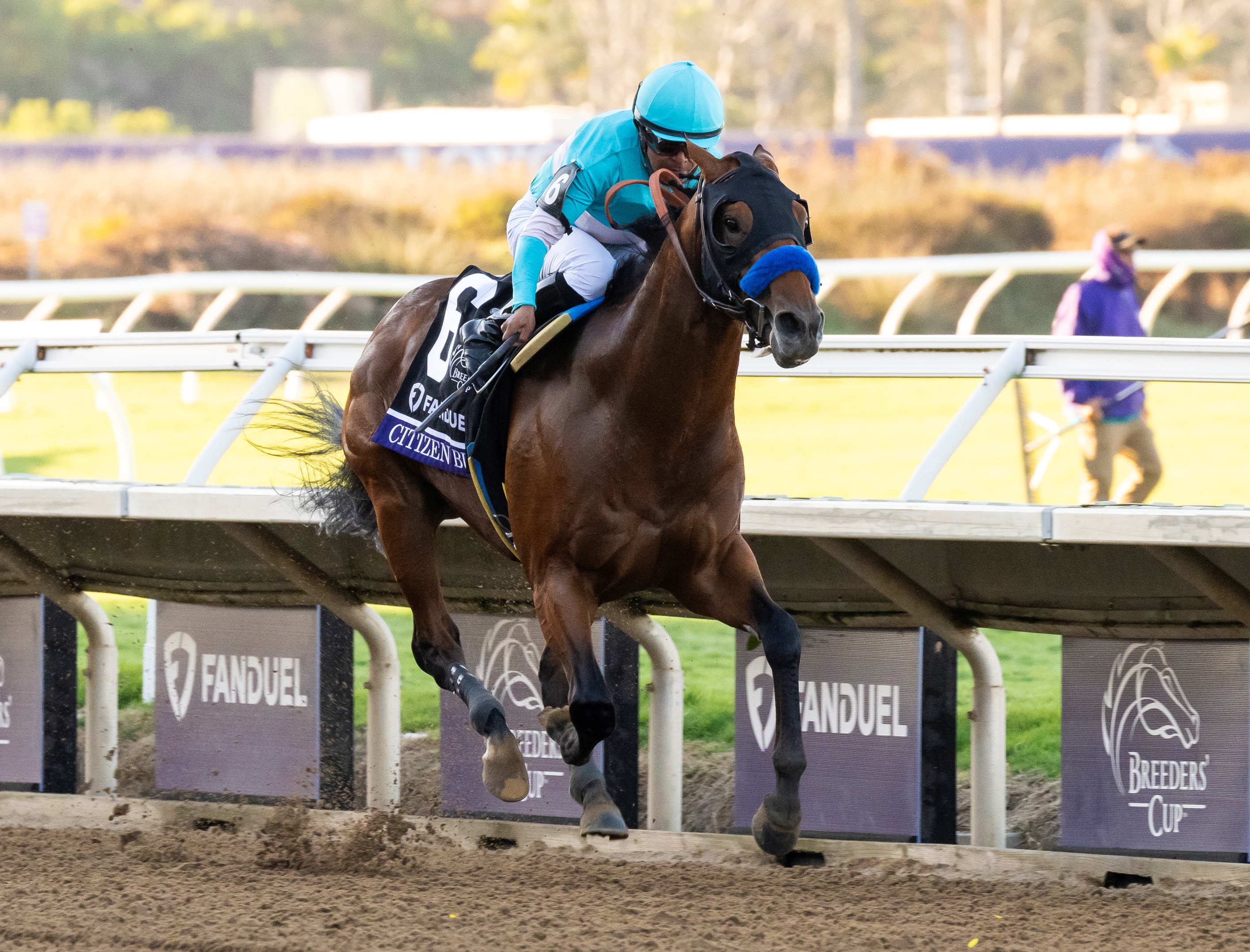 Breeders' Cup バナー 1984-2023 Breeders' Cup Turf: 1984 - 2023 - Slideshow - BloodHorse