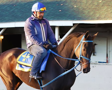 Trainer Juan Muñoz Cano rides Claiming Crown Tiara entrant Best Performer at Churchill Downs