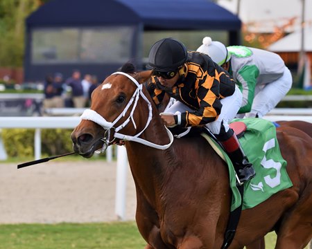 Naughty Rascal wins the 2024 Armed Forces Stakes at Gulfstream Park