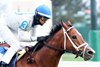 Duvet Day wins the 2024 Cardinal Stakes at Churchill Downs