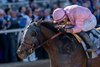 Sierra Leone and Flavien Prat win the Breeders’ Cup Classic (G1) at Del Mar Thoroughbred Club in Del Mar, CA on November 2, 2024.