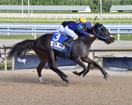 My Denysse wins the My Dear Girl Division of the FTBOA Florida Sire Stakes Nov. 30 at Gulfstream Park