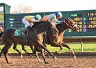 Cast a Coin wins the 2024 Tin Cup Chalice Stakes at Finger Lakes