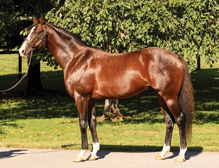 War of Will at Claiborne Farm