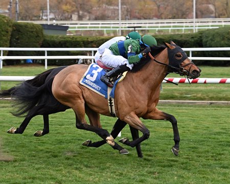 Venencia wins the 2024 Forever Together Stakes at Aqueduct Racetrack