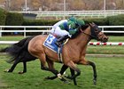 Venencia wins the 2024 Forever Together Stakes at Aqueduct Racetrack