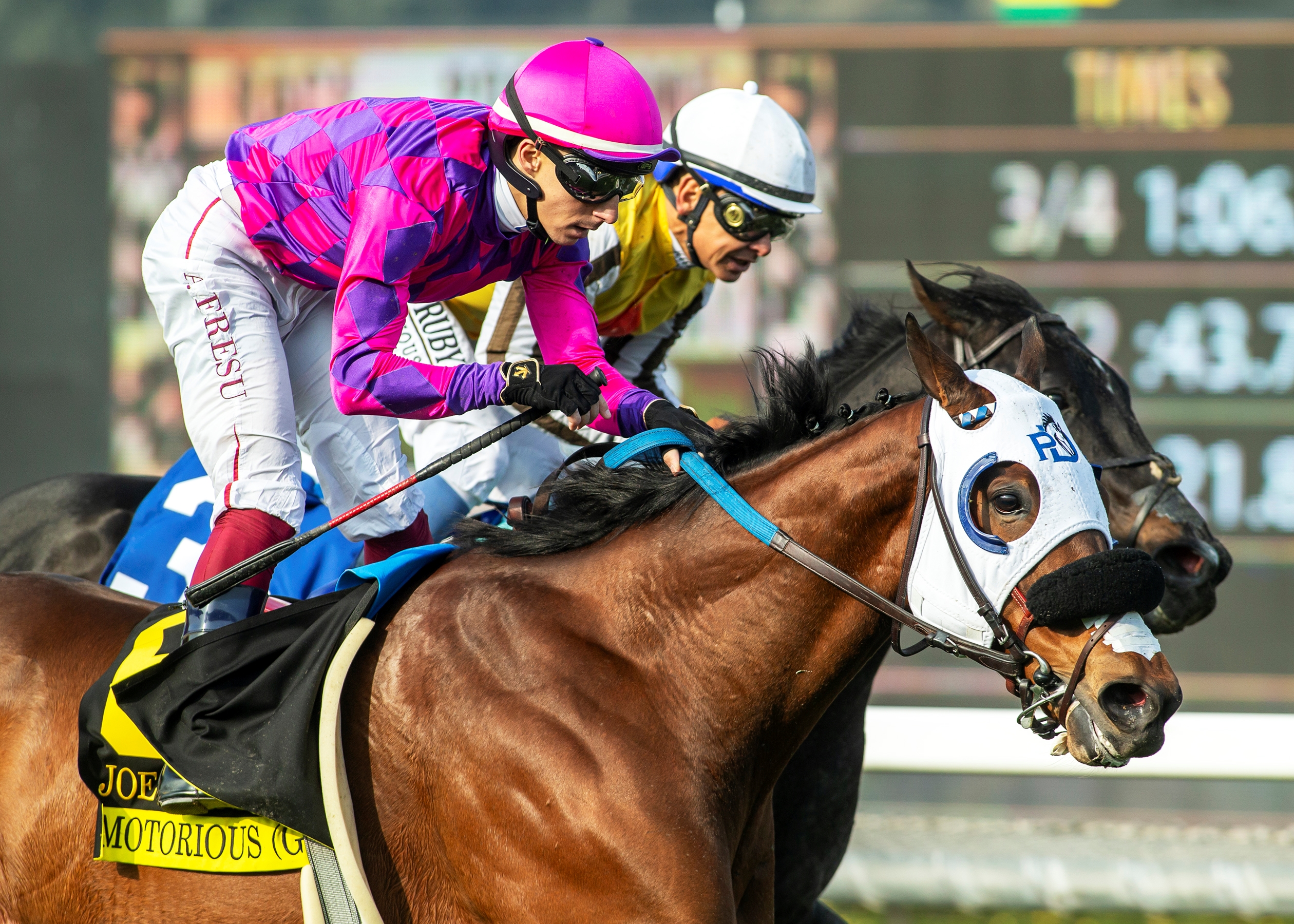 Champion Jockey SpecialとWinningPost 8'17 Amazon.com: Champion Jockey Special NINTENDO SWITCH JAPANESE