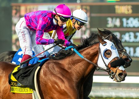 Motorious prevails by a head over Sumter in the Joe Hernandez Stakes at Santa Anita Park