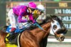 Motorious and jockey Antonio Fresu, outside, outleg Sumter (Mike Smith), inside, to win the G2, $200,000 Joe Hernandez Stakes, Saturday, December 28, 2024 at Santa Anita Park, Arcadia CA.
&#169; BENOIT PHOTO