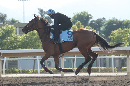 Content LONGINES Hong Kong International Races Monday Trackwork
LONGINES Hong Kong Cup