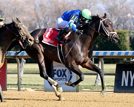 Tizzy in the Sky wins the Go for Wand Stakes at Aqueduct Racetrack