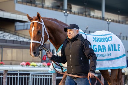 Locked is being considered for the Pegasus World Cup off his impressive Cigar Mile Handicap win