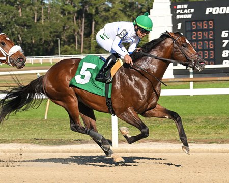 Donut God wins the Inaugural Stakes at Tampa Bay Down