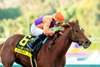 Spendthrift Farm&#39;s Kopion and jockey Kazushi Kimura win the Grade I $300,000 La Brea Stakes Thursday, December 26, 2024 at Santa Anita Park, Arcadia, CA.
Benoit Photo