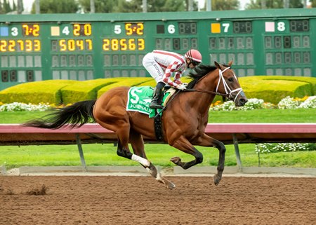 Journalism wins the Los Alamitos Futurity