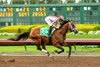 Journalism and jockey Umberto Rispoli win the Grade II, $200,000 Los Alamitos Futuerity, Saturday, December 14, 2024 at Los Alamitos Race Course, Cypress CA.
&#169; BENOIT PHOTO