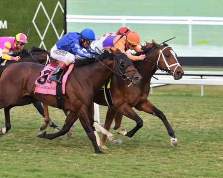 Major Dude (orange silks) narrowly prevails in the 2024 Fort Lauderdale Stakes at Gulfstream Park