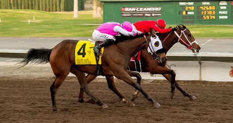 CARF Will Not Pursue Winter-Spring Dates at Pleasanton