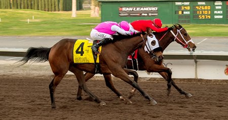 Fall racing at Pleasanton