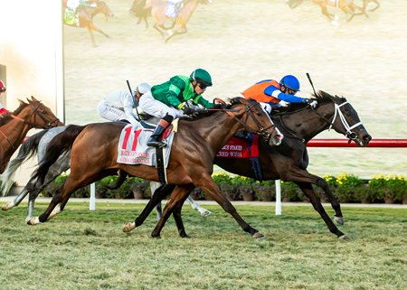 Sacred Wish wins the 2024 Matriarch Stakes at Del Mar