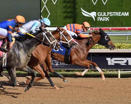 Windy Walk (inside) defeats Power Squeeze (middle) and Soul of an Angel in the Rampart Stakes at Gulfstream Park