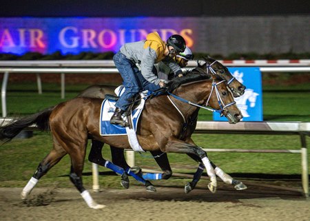 Mystik Dan (outside) works at Fair Grounds before shipping to Santa Anita Park