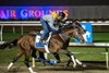 Mystik Dan works in company at the Fair Grounds Race Course, Saturday, December 14, 2024. WIth Brian Hernandez, Jr aboard, Mystik Dan was making his final prep before shipping to California for the Malibu Stakes, December 26, 2024.  Alexander Barkoff Photo