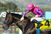 Cuyathy LLC&#39;S Johannes and jockey Umberto Rispoli win the Grade II $200,000 San Gabriel Stakes Thursday, December 26, 2024 at Santa Anita Park, Arcadia, CA.
Benoit Photo