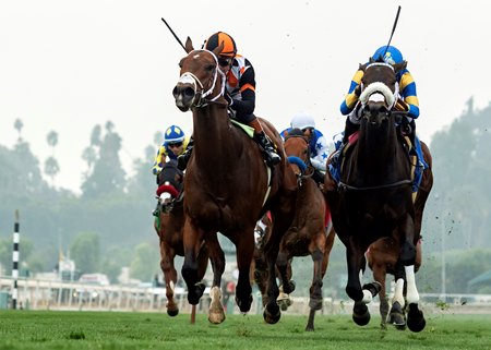 Racing on the turf Dec. 29 at Santa Anita Park