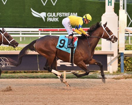 Vassimo crosses the wire first in a 2024 maiden race at Gulfstream Park