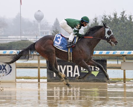 Captain Cook wins a maiden race at Aqueduct Racetrack