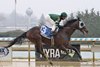 Captain Cook, Maiden Win, Aqueduct Racetrack, December 28 2024