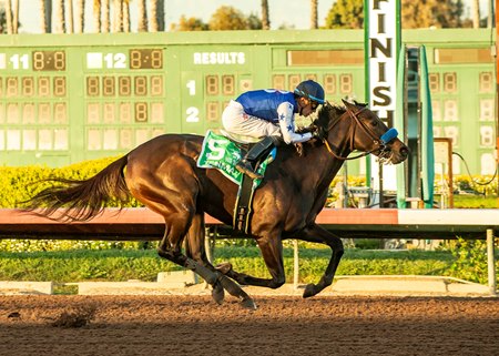 Tenma wins the 2024 Starlet Stakes at Los Alamitos Race Course