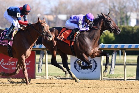 Treaty of Rome breaks his maiden at Aqueduct Racetrack