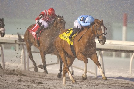 Get Smokin wins a snowy renewal of the Valedictory Stakes at Woodbine