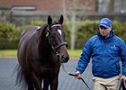 Blue Point.
Kildangan Stud.
Irish Stallion Trail.
Photo: Patrick McCann/Racing Post
12.01.2024