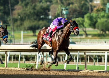 Raging Torrent, with Frankie Dettori aboard, takes the Malibu Stakes on opening day at Santa Anita Park